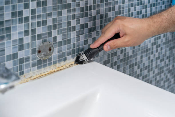 Best Residential Mold Removal  in La Salle, CO